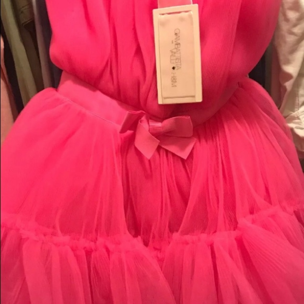 Giambattistas valli h&m tulle dress